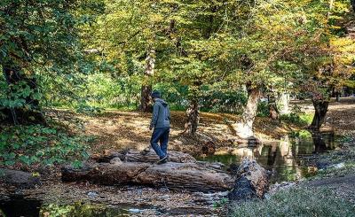 طبیعت پاییزی چشمه لال گلستان