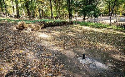 طبیعت پاییزی چشمه لال گلستان