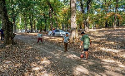 طبیعت پاییزی چشمه لال گلستان