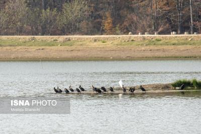 پاییز خشک مازندران