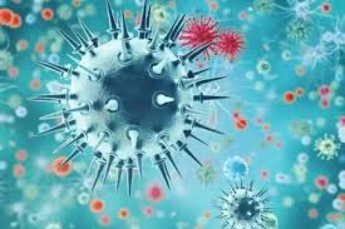  شیوع آنفولانزا مدارس مازندران را تعطیل کرد 