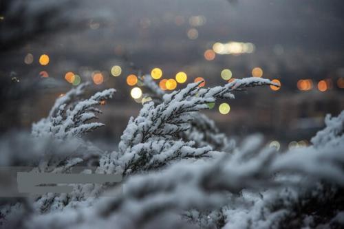 هشدار هواشناسی به ۲۵ استان؛ خسارت به محصولات کشاورزی با تشدید بارش‌ها
