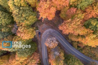 آخرین قدم های پاییز