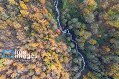 آخرین قدم های پاییز