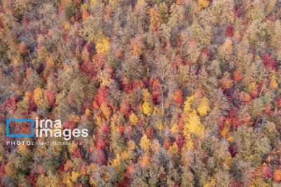 آخرین قدم های پاییز