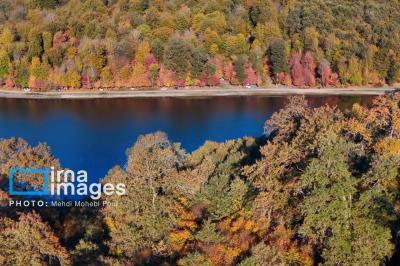 آخرین قدم های پاییز