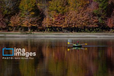 آخرین قدم های پاییز