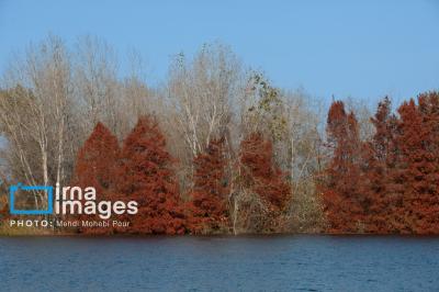 آخرین قدم های پاییز