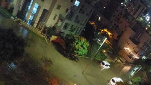 سیل در فلسطین اشغالی ده‌ها کشته، مفقود و زخمی برجای گذاشت، برخی مناطق تخلیه شدند