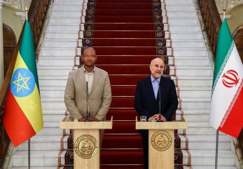  همواره به‌دنبال توسعه روابط با کشورهای آفریقایی هستیم