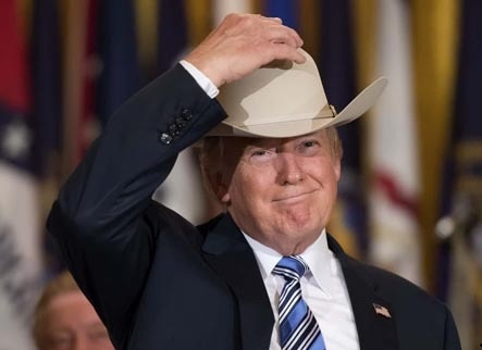  ترامپ گاوچران شد / فیلم 