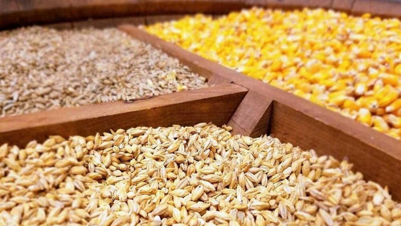 سامانه بازارگاه معضل برهم زدن نظم بازار