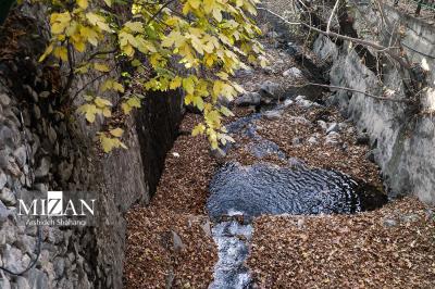 پاییزدرکوچه باغ های درکه