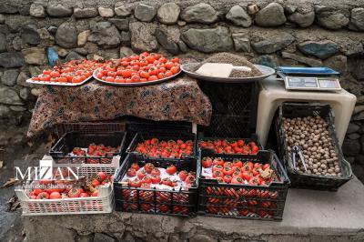 پاییزدرکوچه باغ های درکه