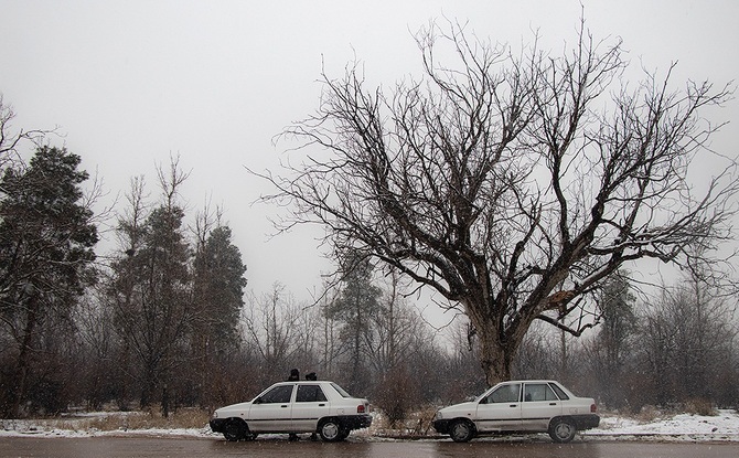 شیراز سفیدپوش شد / فیلم