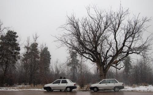  شیراز سفیدپوش شد / فیلم