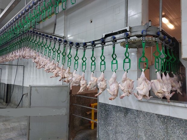 هر کیلو گرم گوشت مرغ ۱۶۸ هزار تومان