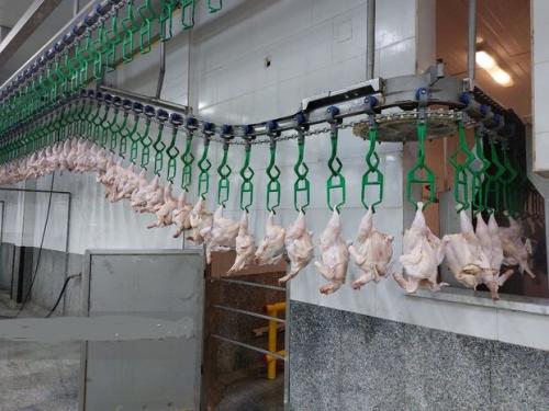 هر کیلو گرم گوشت مرغ ۱۶۸ هزار تومان