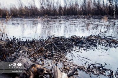 زنگ خطر برای تالاب بیشه‌دالان 