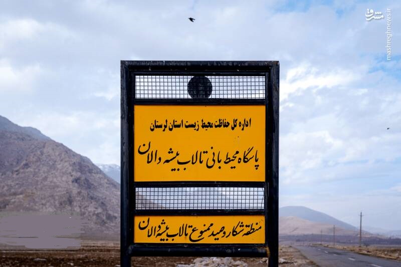 زنگ خطر برای تالاب بیشه‌دالان 