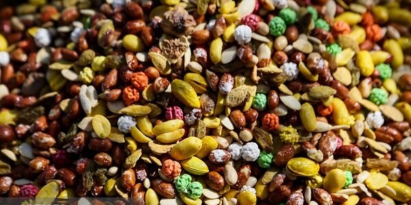 ازتنوع تاقیمت آجیل یلدا