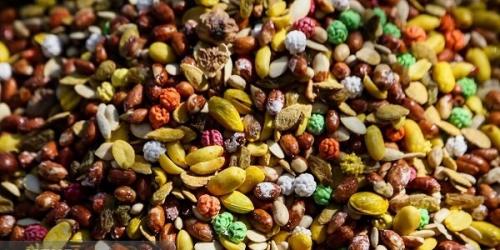 ازتنوع تاقیمت آجیل یلدا