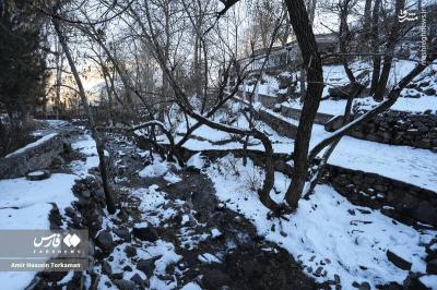 گنجنامه برفی