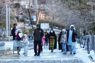 گنجنامه برفی