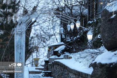 گنجنامه برفی