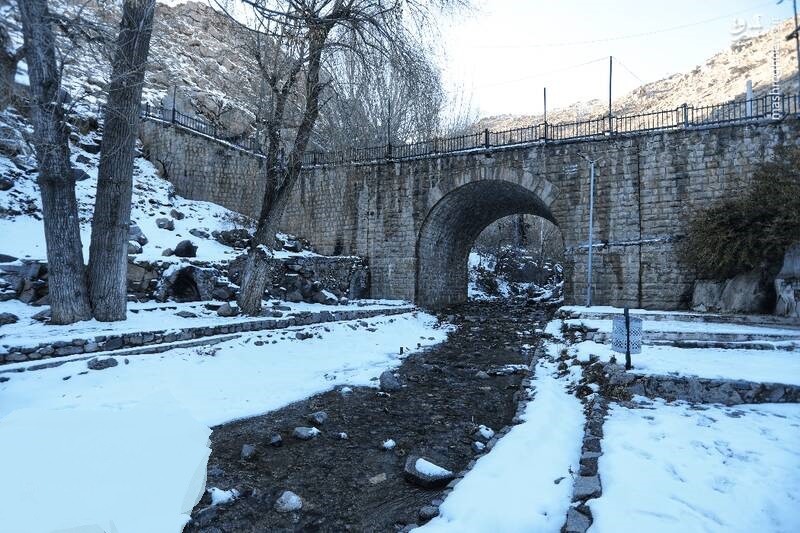 گنجنامه برفی