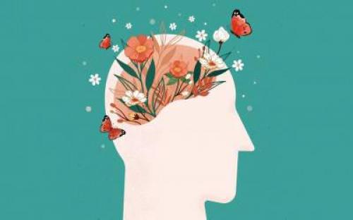 گیاهی که حس بویایی وچشایی رابالا می برد