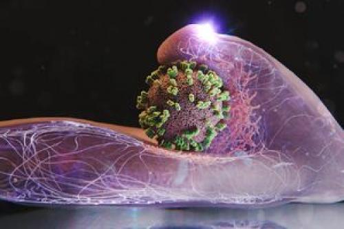 مهار موج شدید آنفلوآنزا در کشور طی هفته جاری