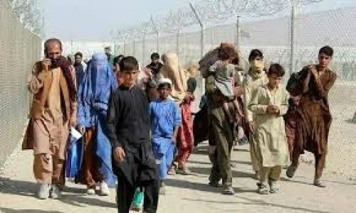 انهدام شبکه انتقال اتباع غیرمجاز در کرمان 