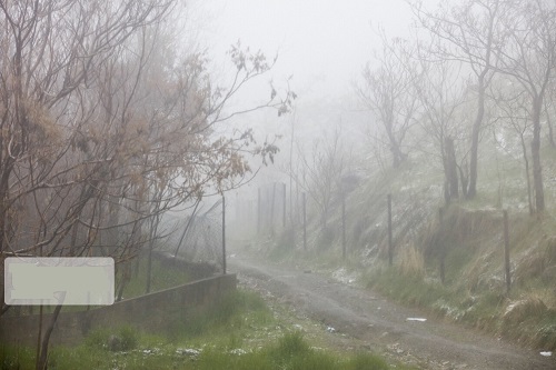 باران و برف به تهران رسید؛ سه‌شنبه سرد در انتظار تهرانی‌ها+عکس