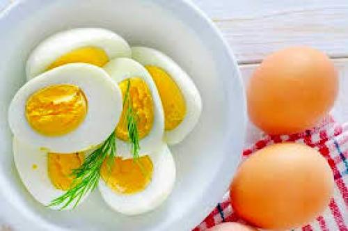 آیا مصرف یک تخم مرغ در روز سودمند است 