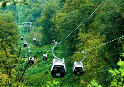 مجموعه تفریحی نمک‌آبرود /عکس