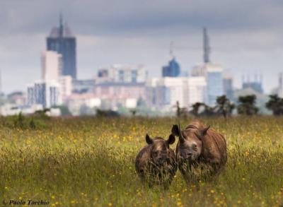 منحصربه‌فردترین پارک‌ ملی جهان