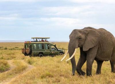 منحصربه‌فردترین پارک‌ ملی جهان