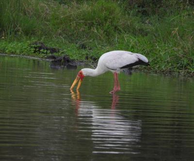 منحصربه‌فردترین پارک‌ ملی جهان
