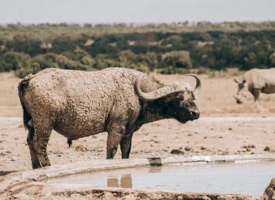 منحصربه‌فردترین پارک‌ ملی جهان