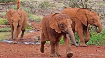 منحصربه‌فردترین پارک‌ ملی جهان