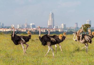 منحصربه‌فردترین پارک‌ ملی جهان