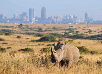 منحصربه‌فردترین پارک‌ ملی جهان