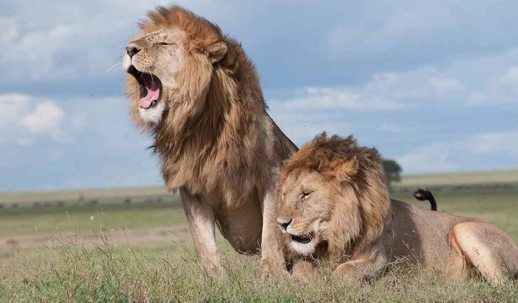 منحصربه‌فردترین پارک‌ ملی جهان