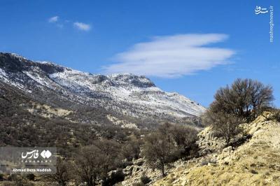 کاشت بلوط دررویشگاه دشت اژن