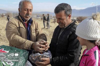 کاشت بلوط دررویشگاه دشت اژن