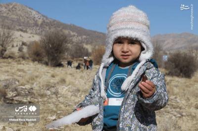 کاشت بلوط دررویشگاه دشت اژن