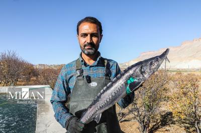 پرورش ماهیان خاویاری - کلات نادری 