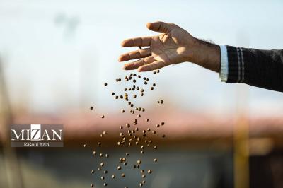 پرورش ماهیان خاویاری - کلات نادری 