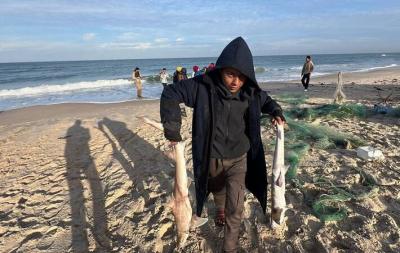 بازگشت صیادان غزه به دریا